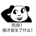 吃惊 熊猫头 发生了什么