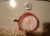 神马 健身 宠物 最喜欢 搞笑 ~~~ 萌 gif
