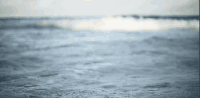 Paul&Wex 塞舌尔群岛 波浪 海水 记录片 风景