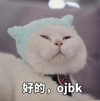 萌宠 猫咪 猫 我觉得ok ok 赞 ojbk