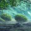 风景 花草树木 树 下雨