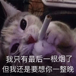 萌宠 猫咪 猫 喵星人 抽烟 想你 撩