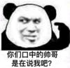 暴漫 文字表情包 你们口中的帅哥是再说我吧 搞笑 沙雕 魔性