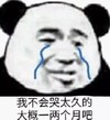 暴漫 熊猫头 我不会哭太久的 大概一两个月吧 搞怪 逗