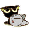 可爱 猫咪 睡觉
