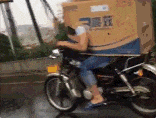 逗比男 骑摩托 纸箱 防雨