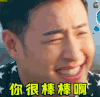 我们相爱吧 无尾熊夫妇 soogif soogif出品 你很棒棒啊 赞
