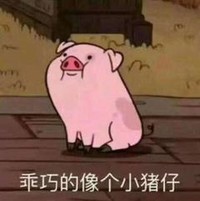 卡通 小猪 坐着 可爱