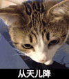 可爱 咪星人 什么东东 从天儿降