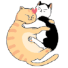 比心 猫咪 拥抱 搞笑 可爱