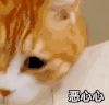 萌宠 猫星人 恶心心 嫌弃 搞怪