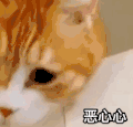 萌宠 猫星人 恶心心 嫌弃 搞怪