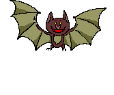 红色 绿色 褐色 蝙蝠