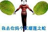 我去你妈个双榴莲之蛇,  榴莲 熊猫   搞笑