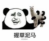 草泥马 动物 手握住 坏笑