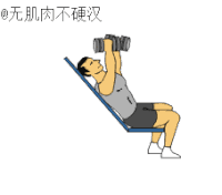 健身 卡通 力量 运动