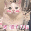 沙雕猫 猫咪 猫 可爱猫 猫表情包 猫咪表情包 小猫