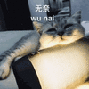 沙雕猫 猫咪 猫 可爱猫 猫表情包 猫咪表情包 小猫
