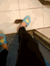 逗比 老鼠 踩住 搞笑