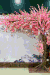 三生三世十里桃花 店面 设计 营销