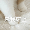 来我床上 猫咪 撩