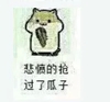 仓鼠 瓜子 搞笑 悲愤的抢过瓜子