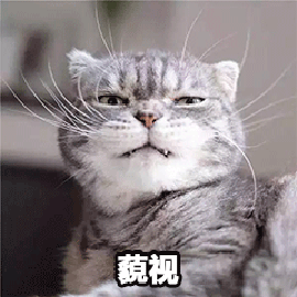 萌寵 貓咪 貓 喵星人 藐視