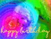 生日 猫 生日快乐 彩色的光
