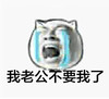 我老公不要我了 猫咪 哭泣 搞笑