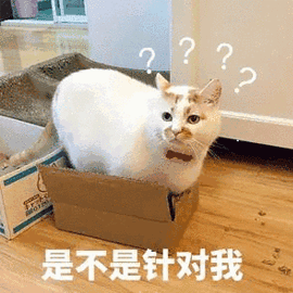 针对 猫 蒙圈