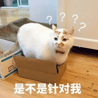 萌宠 针对 猫 蒙圈 搞怪 可爱