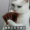 沙雕猫 猫咪 猫 可爱猫 猫表情包 猫咪表情包 小猫