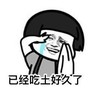 暴漫 文字表情包 已经吃土好久了 搞笑 逗 沙雕