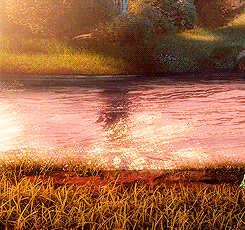 河水 夕阳 反光 草地