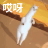 扭屁股 动态图 搞笑 魔性 羊驼