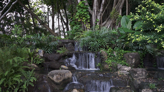 瀑布 热带雨林 自然 风景