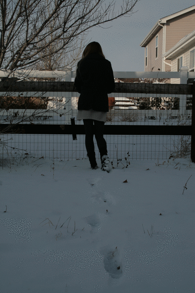 雪 科罗拉多 女孩 艺术家在Tumblr 冰雪奇缘 易懂的 我自己 摄影 动画 冬天 GIF艺术 消失 摄影师在Tumblr GIF 消失 图形 的时刻 栅栏 我的工作 消失 下雪的 褪色 转瞬即逝的 消失 原来的GIF marisarenee 脚印