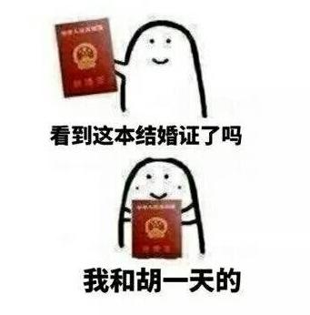 结婚证 搞笑 魔性 追星 蠢萌