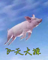 飞天大操 飞天大草