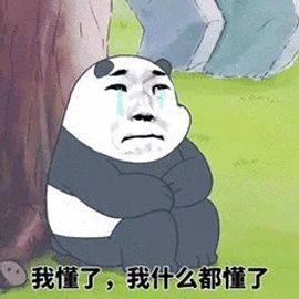 熊貓 懂了 什么