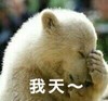 狗狗 捂脸 无奈 我天