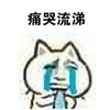 表情 哭泣 耳朵 痛哭流涕