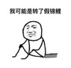 我可能是转了假锦鲤