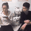 情侣 整蛊 搞笑 可爱