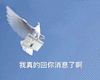 沙雕 沙雕图 今日沙雕 沙雕表情包