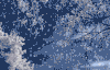 伤感 孤独 时光 下雪