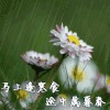 清明节
