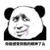 你能 感受 眼神 熊猫头 暴漫
