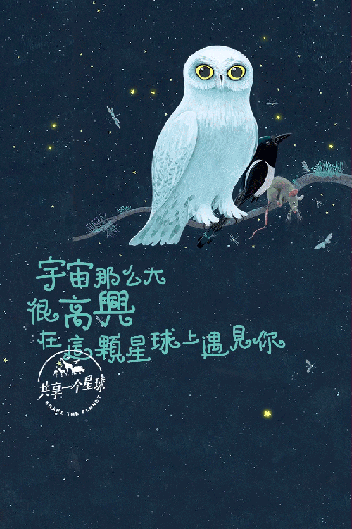地球四级 海报 滴滴 猫头鹰 老鼠 设计 雅克贝汉 鸟