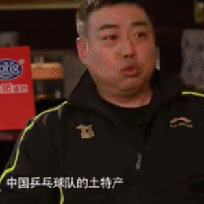 中国乒乓球 土特产 冠军 装逼 斗图 搞笑